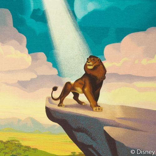 2.Disney-Leijonakuningas-trikoo "Kuningaskallio",petrooli