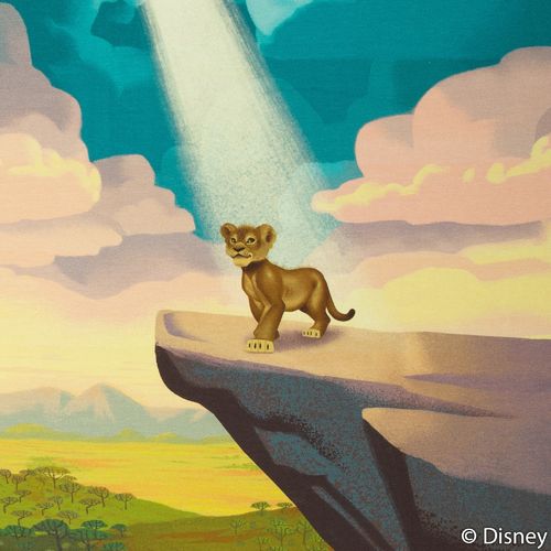 3.Disney-Leijonakuningas-trikoo "Kuningaskallio",petrooli