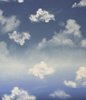 Cloudy Sky -  joustocollege, sininen