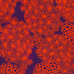 Coral Cluster - viskoosi, oranssi