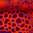 Coral Cluster - viskoosi, oranssi